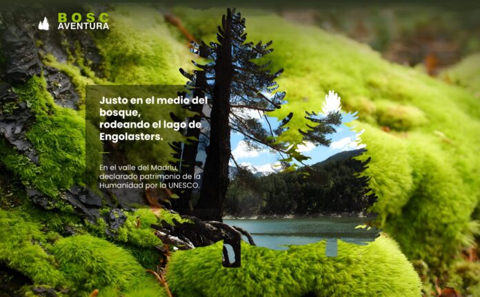 Bosc Aventura: emoció i natura al Llac d’Engolasters