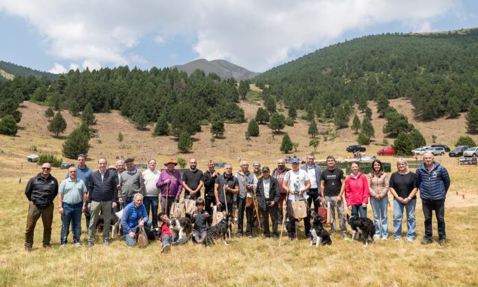 Trobada de Germanor al Coll d’Ordino